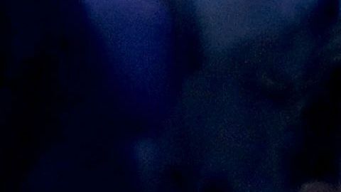 Georgina Rodríguez y Cristiano Ronaldo viven su noviazgo a plenitud