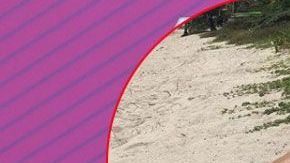 Geraldine Bazán se separó de Gabriel Soto.