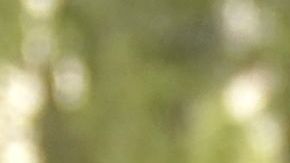 Emma Coronel acude a la corte de Brooklyn para el juicio de su esposo.