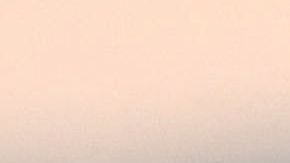 El presidente pone en problemas a las compañías de autos con sus aranceles y tuits