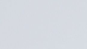 Presidente Donald Trump.