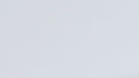 Presidente Donald Trump.