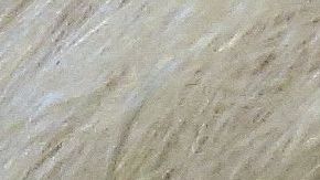 Caótica semana para Trump y sus intereses para 2020