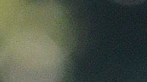 No hay indicios de que los demócratas quieran iniciar un proceso para un juicio político contra Trump.