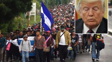 El presidente Trump cuestiona que los hondureños porten su bandera.