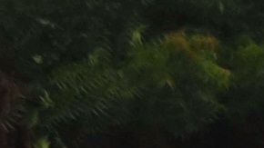 Una hondureña argumenta sobre los motivos de querer llegar a EU. Al fondo, una abogada de EU da información de asilo.