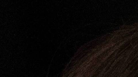 El mensaje es claro para Melania