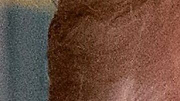 Whitaker, ha descalificado públicamente la investigación de Muller