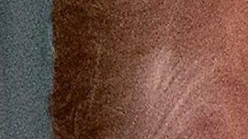 Trump sigue con su retórica antiinmigrante