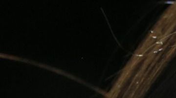 El 23 de noviembre se reanuda el juicio de "El Chapo"