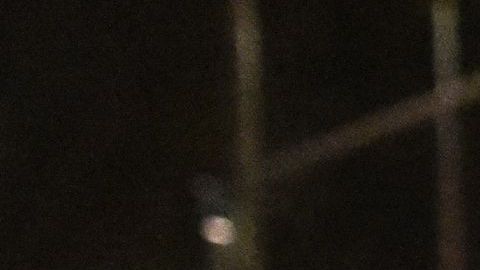 El martes 6 es el día de votación.