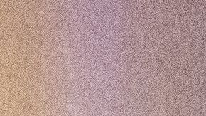 La policía de Tallahassee investiga el tiroteo.