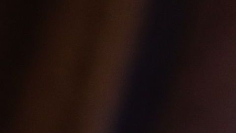 El senador republicano Ted Cruz gana las elecciones en Texas.