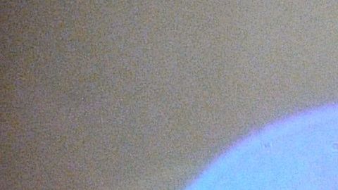 Los demócratas buscarán que Trump revele sus declaraciones de impuestos