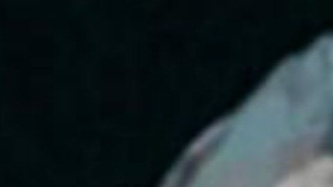 12 personas fueron asesinadas por el atacante