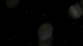 Chan Sung Jung al ser noqueado por Yair Rodríguez en UFC.