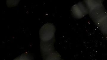 Chan Sung Jung al ser noqueado por Yair Rodríguez en UFC.