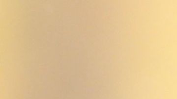 Arboles de navidad color rojo se tomaron la Casa Blanca