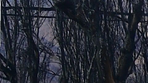 Trabajadores revisan las líneas de gas entre  viviendas dañadas en Malibu. Getty Images