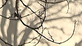 El gobernador de California Jerry Brown, el administrador de FEMA Brock Long y el secretario del Interior de los Estados Unidos, Ryan Zinke, recorren Paradise.