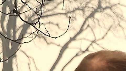 El gobernador de California Jerry Brown, el administrador de FEMA Brock Long y el secretario del Interior de los Estados Unidos, Ryan Zinke, recorren Paradise.