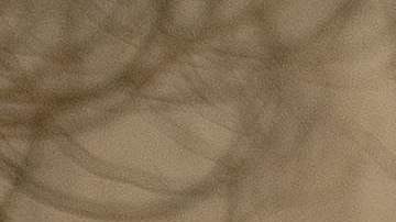 Rescatistas escudriñan los escombros en busca de restos humanos en Paradise.