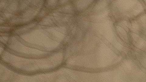 Rescatistas escudriñan los escombros en busca de restos humanos en Paradise.