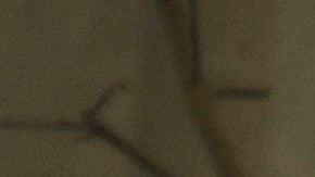 Autoridades se preparan para remover restos humanos hallados en Paradise.