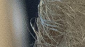 Al presidente no le parece correcto que GM cierre fabricas en USA