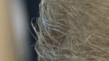 Al presidente no le parece correcto que GM cierre fabricas en USA