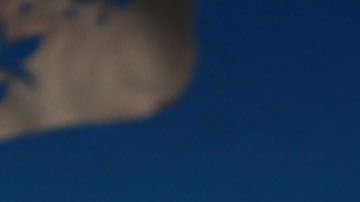 Barack Obama y Andrew Gillum llegan a comer a Coyo Taco en Miami.