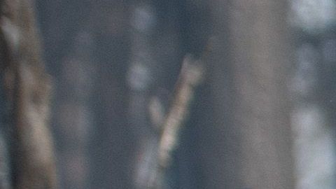 El presidente Trump y la alcaldesa de Paradise Jody Jones.