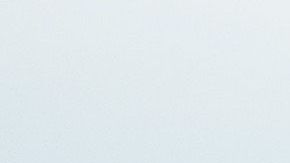 Trump dijo que rastrillar el suelo del bosque sería la solución