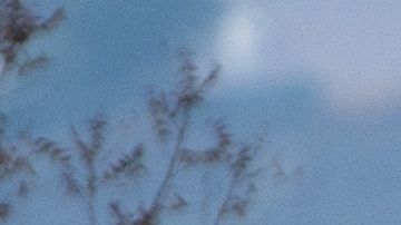 Trump y Newsom caminan por el área del incendio en Malibu.