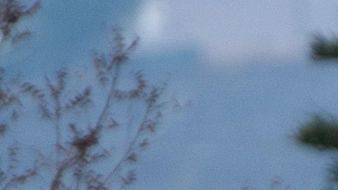 Trump y Newsom caminan por el área del incendio en Malibu.