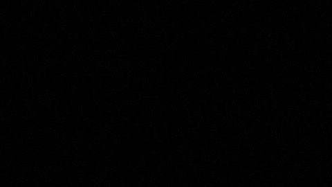 US-POLITICS-FIRES-TRUMP-FORESTS