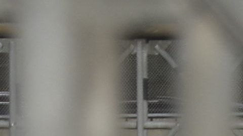 54 millones de conductores viajaran a algún estado en el Día de Acción de Gracias: AAA