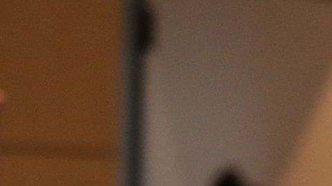 José Andrés con evacuados del incendio Camp Fire el recién pasado Thanksgiving en California.