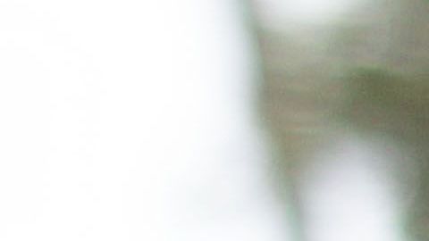 El gobierno prometió hacerlos esperar