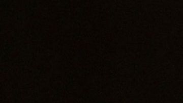 Reemplazo de Session no tendría poder sobre investigación de la Trama Rusa