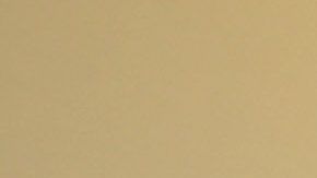 Solo puede estar bajo custodia de la policía japonesa por 20 días