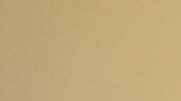 Solo puede estar bajo custodia de la policía japonesa por 20 días