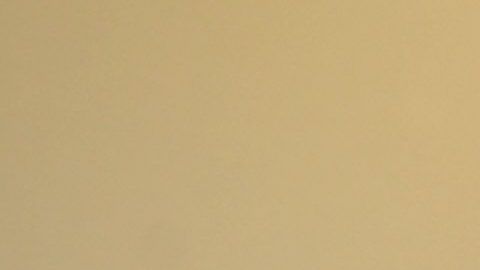 Solo puede estar bajo custodia de la policía japonesa por 20 días