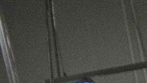 Millonaria multa contra Seaboard Corporation