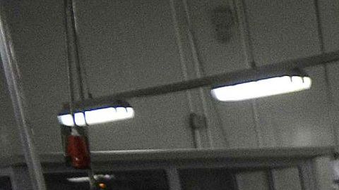 Millonaria multa contra Seaboard Corporation