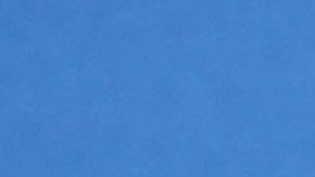 Sarah Michelle Gellar.