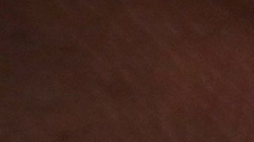 El proceso biométrico es uno de los esfuerzos de USCIS para evitar fraudes.