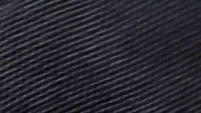 CBP Demonstrates New App For Expedited Passport Control And Customs Screening