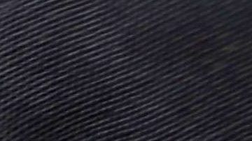 CBP Demonstrates New App For Expedited Passport Control And Customs Screening