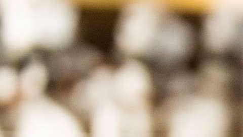 El roedor más famoso del mundo nació en NYC